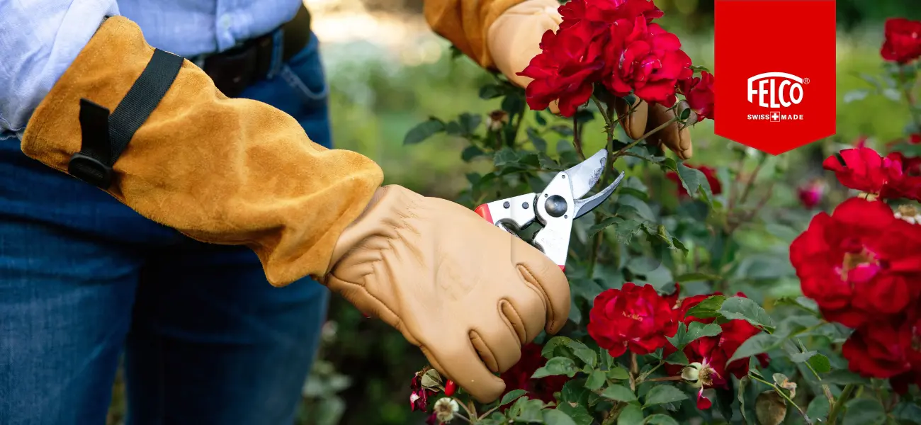 FELCO® 705 Handschuhe für Rosen, Rosensträucher, Rosensträucher erhältlich bei GBC Österreich