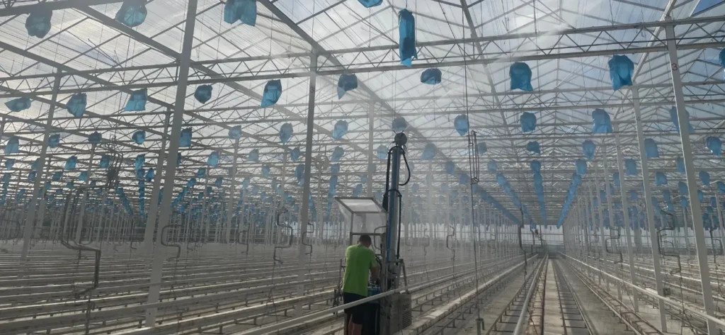 MENNO HORTISEPTCLEAN® Plus: Hygienische Reinigung für professionelle Ansprüche erhältlich bei GBC Österreich