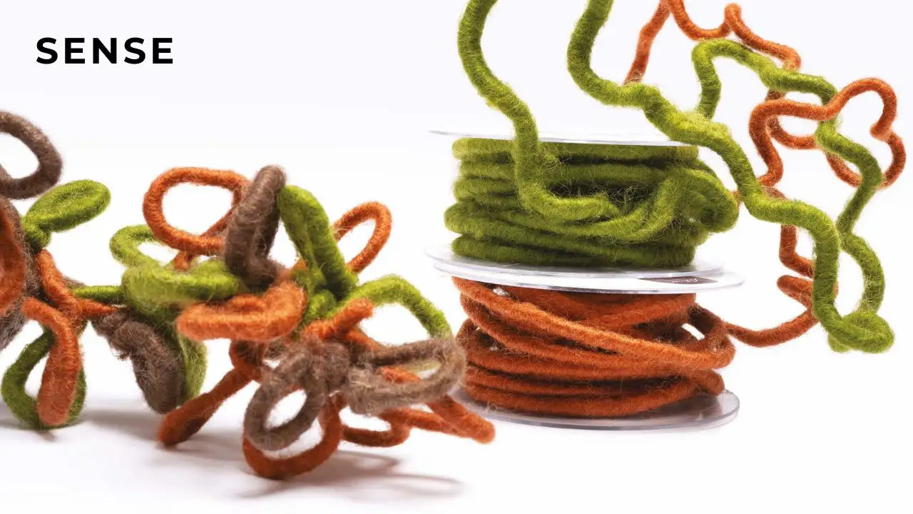 3_GBC_2_Trend_Sense_LehnerWool