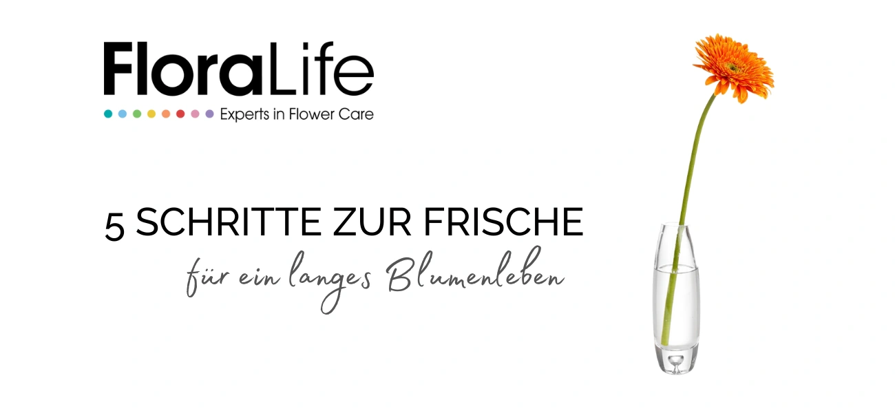 20240223-5-Schritte-zur-Frische-fuer-langes-Blumenleben-Floralife-GBC-Oesterreich-v3